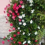 Apartament Le Rose Sul Pescate