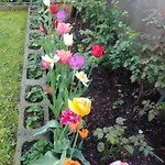 Le Rose Sul Lägenhet