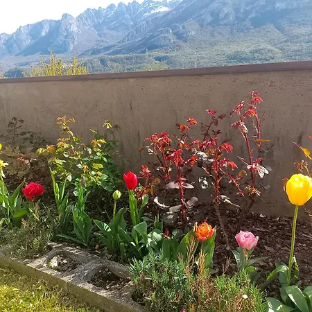 Le Rose Sul Apartment *