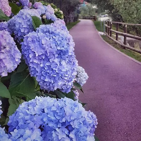 Apartmán Le Rose Sul *