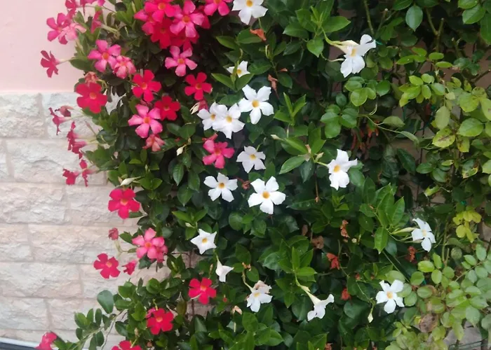 Appartement Le Rose Sul Pescate