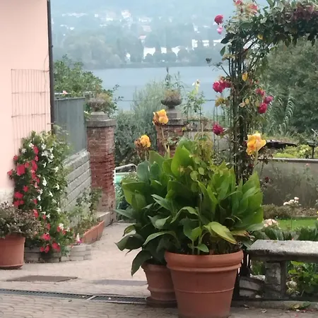 Le Rose Sul Pescate